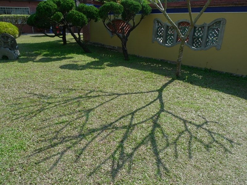 霧峰林家史蹟巡禮─景薰樓、萊園(2)