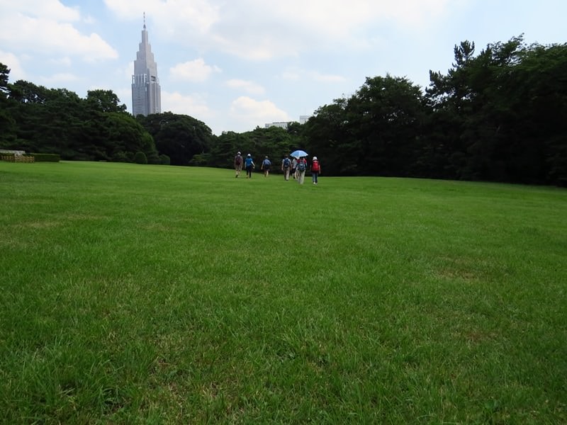 Day2-1富士山行前負重訓練(上)─靖國神社、北の丸公園、明治神宮