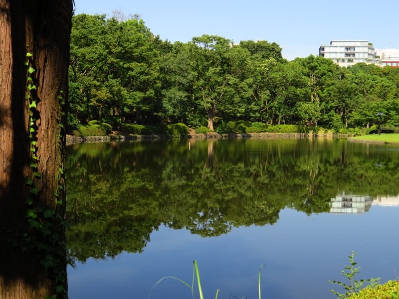 Day2-1富士山行前負重訓練(上)─靖國神社、北の丸公園、明治神宮