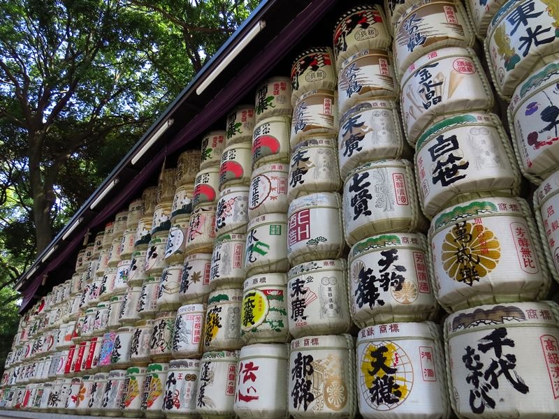 Day2-1富士山行前負重訓練(上)─靖國神社、北の丸公園、明治神宮