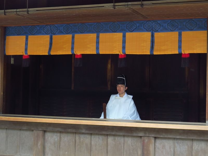 Day2-1富士山行前負重訓練(上)─靖國神社、北の丸公園、明治神宮