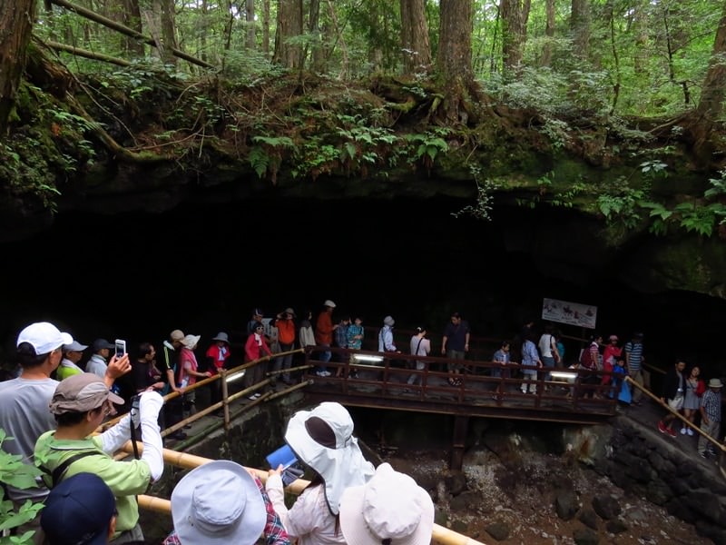 Day3青木ケ原樹海自然步道O形、富岳風穴、鳴沢冰穴