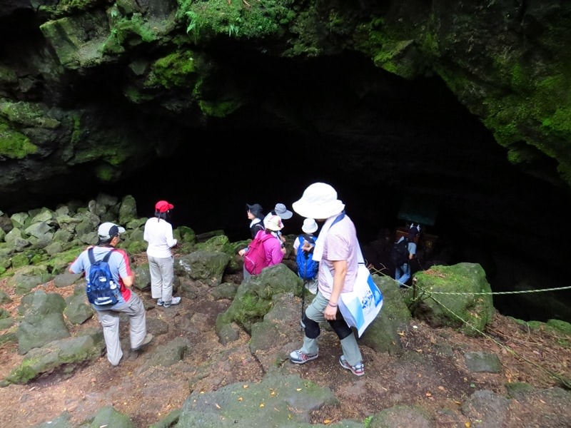 Day3青木ケ原樹海自然步道O形、富岳風穴、鳴沢冰穴
