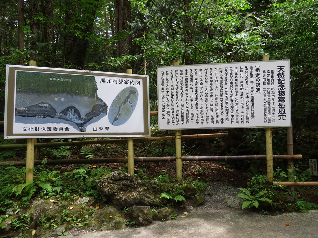 Day3青木ケ原樹海自然步道O形、富岳風穴、鳴沢冰穴