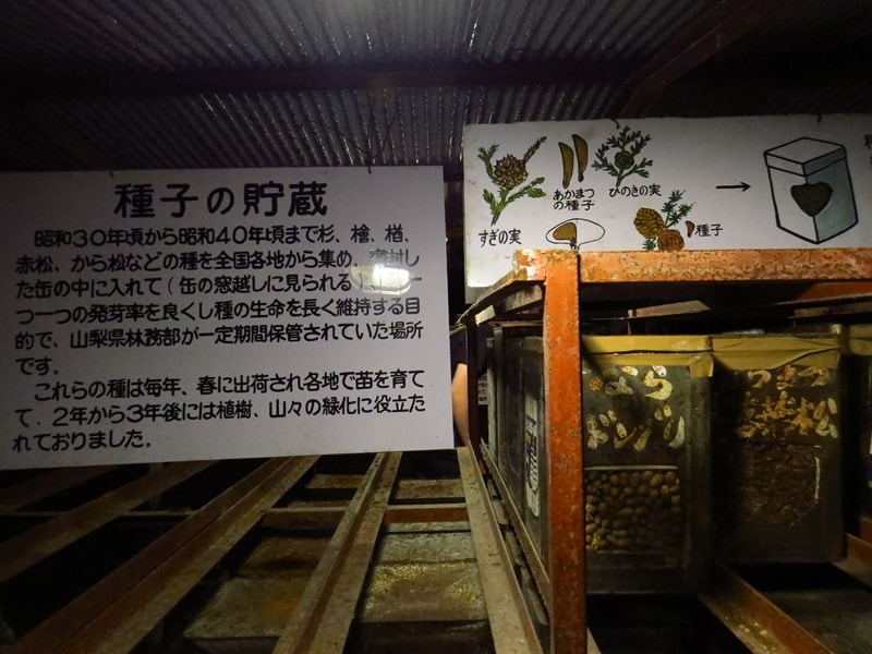 Day3青木ケ原樹海自然步道O形、富岳風穴、鳴沢冰穴