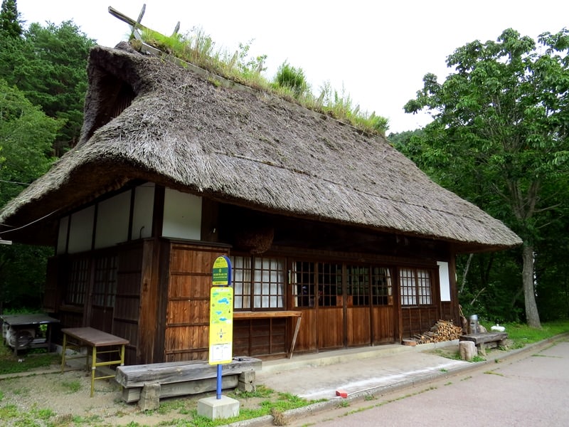 Day3青木ケ原樹海自然步道O形、富岳風穴、鳴沢冰穴