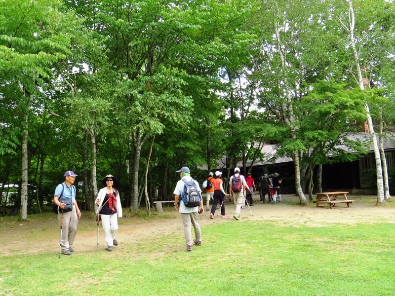 Day3青木ケ原樹海自然步道O形、富岳風穴、鳴沢冰穴