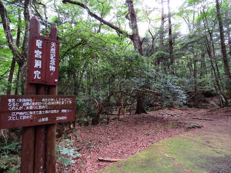 Day3青木ケ原樹海自然步道O形、富岳風穴、鳴沢冰穴
