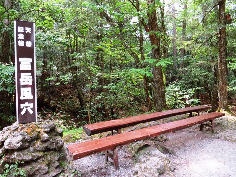 Day3青木ケ原樹海自然步道O形、富岳風穴、鳴沢冰穴