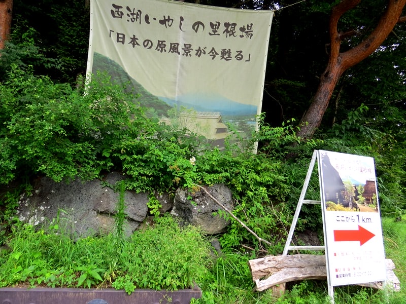 Day3青木ケ原樹海自然步道O形、富岳風穴、鳴沢冰穴