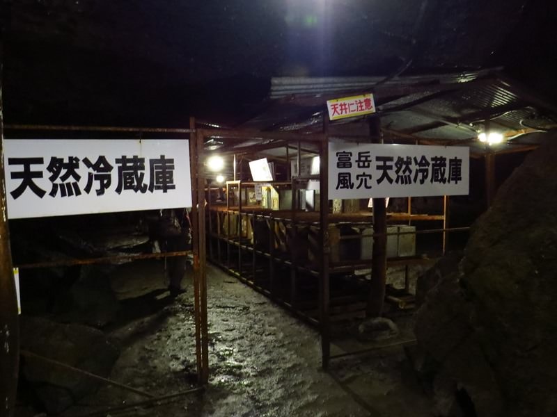 Day3青木ケ原樹海自然步道O形、富岳風穴、鳴沢冰穴