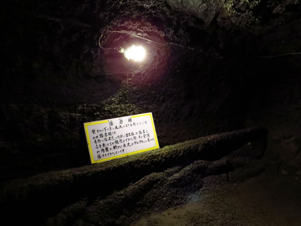 Day3青木ケ原樹海自然步道O形、富岳風穴、鳴沢冰穴