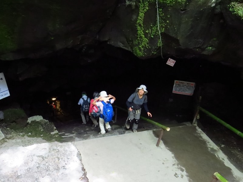 Day3青木ケ原樹海自然步道O形、富岳風穴、鳴沢冰穴