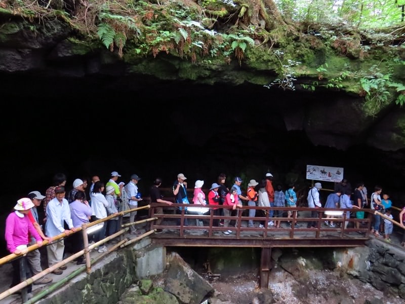 Day3青木ケ原樹海自然步道O形、富岳風穴、鳴沢冰穴