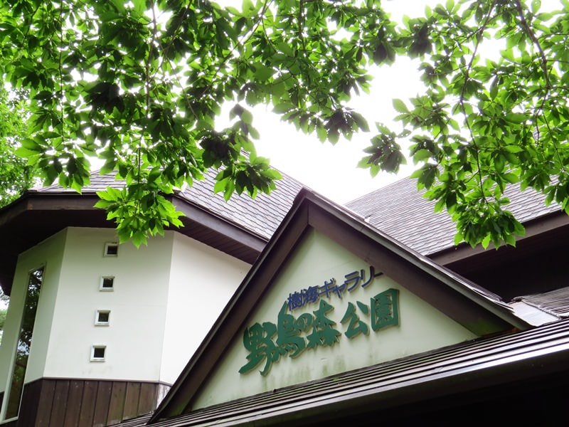 Day3青木ケ原樹海自然步道O形、富岳風穴、鳴沢冰穴