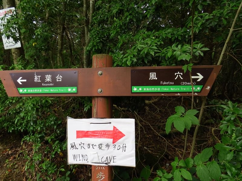 Day3青木ケ原樹海自然步道O形、富岳風穴、鳴沢冰穴