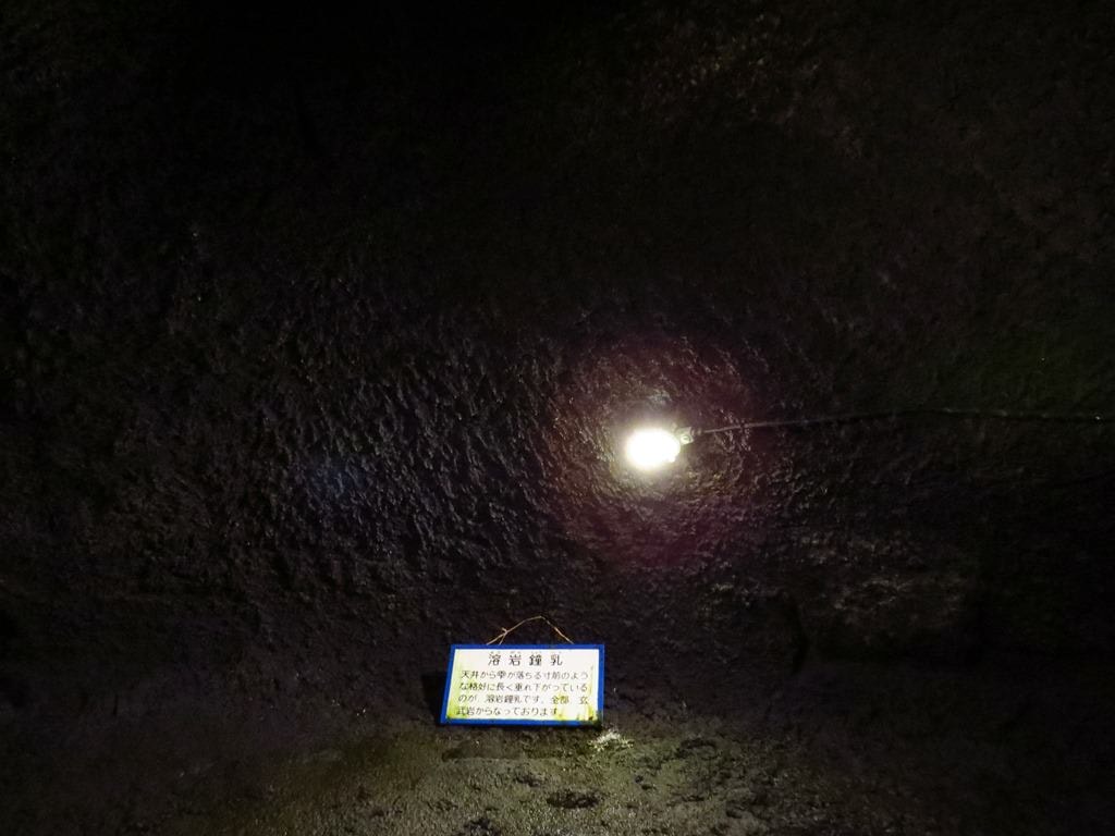 Day3青木ケ原樹海自然步道O形、富岳風穴、鳴沢冰穴
