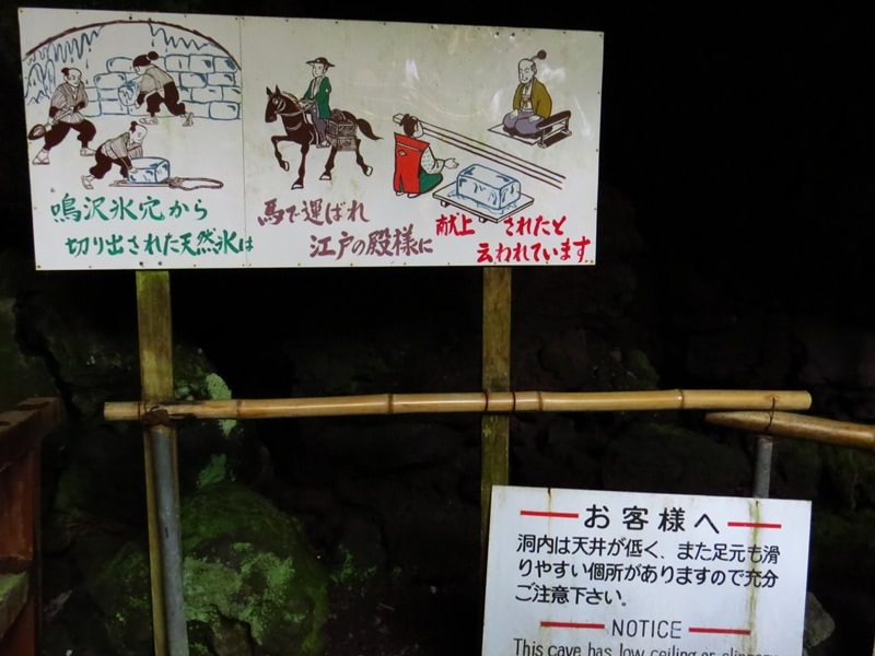 Day3青木ケ原樹海自然步道O形、富岳風穴、鳴沢冰穴