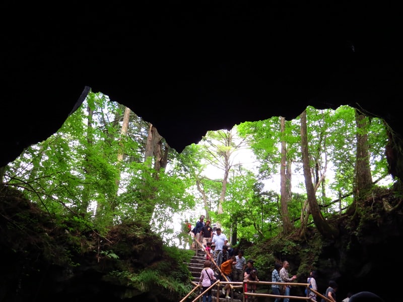 Day3青木ケ原樹海自然步道O形、富岳風穴、鳴沢冰穴