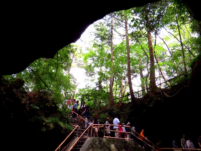 Day3青木ケ原樹海自然步道O形、富岳風穴、鳴沢冰穴