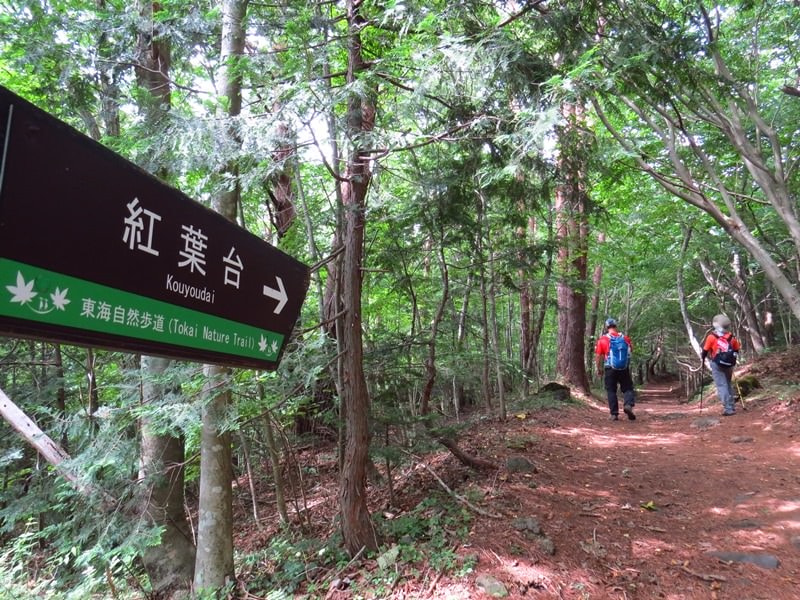 Day3青木ケ原樹海自然步道O形、富岳風穴、鳴沢冰穴