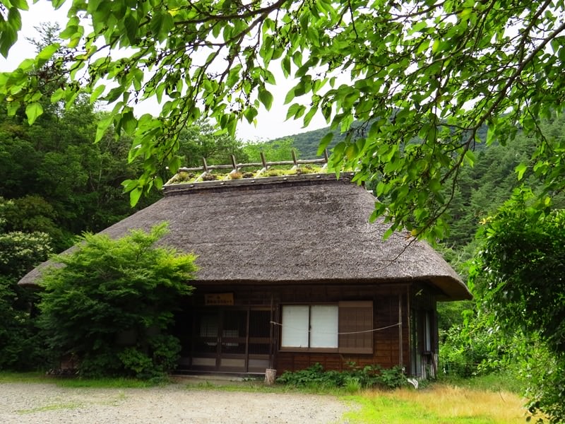 Day3青木ケ原樹海自然步道O形、富岳風穴、鳴沢冰穴