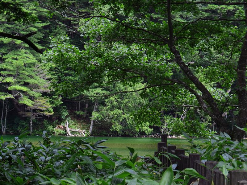 Day5山映清流上高地
