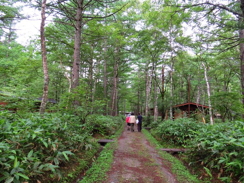 Day5山映清流上高地