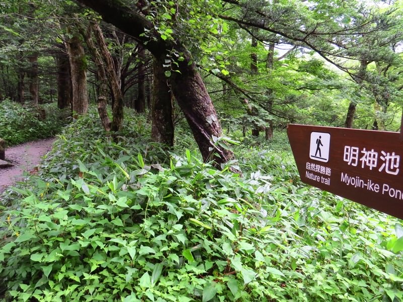 Day5山映清流上高地