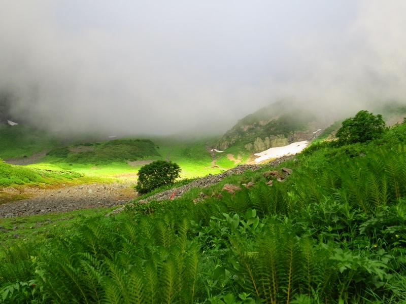 Day6晨踏雪溪攀槍岳 (日本百名山─槍ヶ岳)