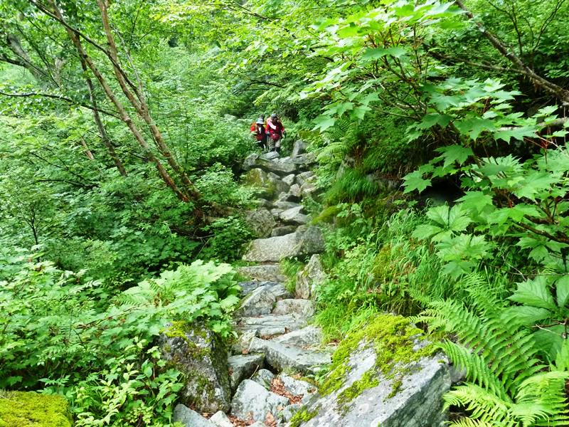 Day6晨踏雪溪攀槍岳 (日本百名山─槍ヶ岳)