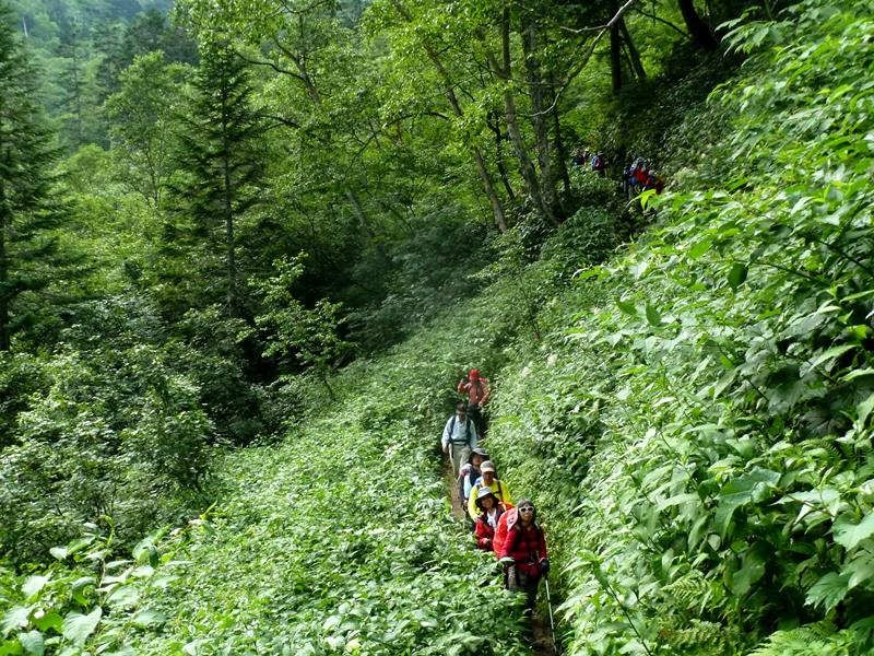 Day6晨踏雪溪攀槍岳 (日本百名山─槍ヶ岳)