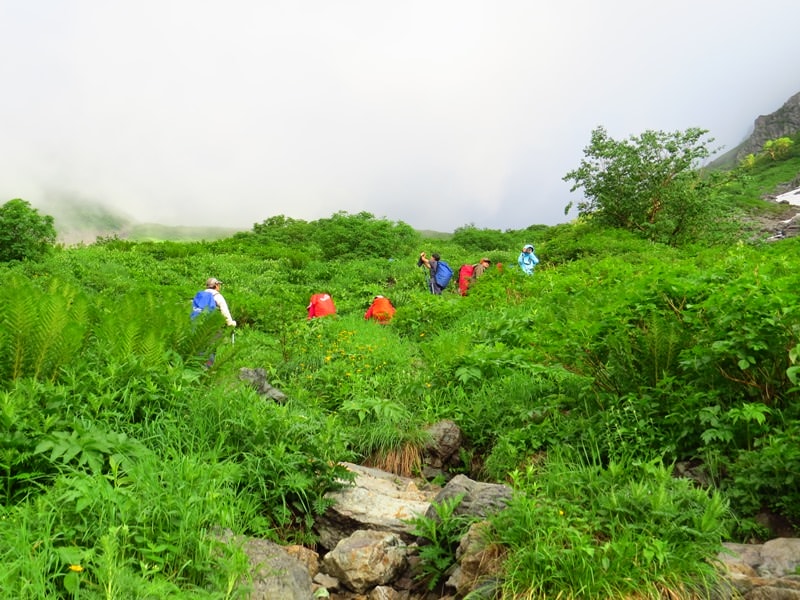 Day6晨踏雪溪攀槍岳 (日本百名山─槍ヶ岳)