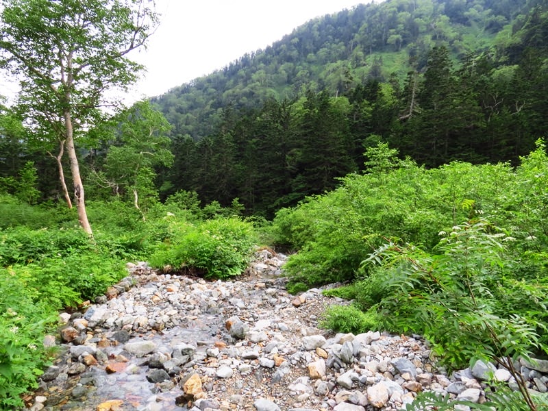 Day6晨踏雪溪攀槍岳 (日本百名山─槍ヶ岳)
