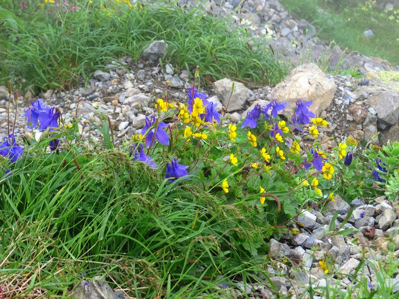 Day6晨踏雪溪攀槍岳 (日本百名山─槍ヶ岳)