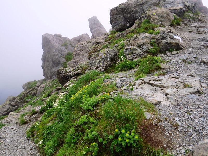 Day6晨踏雪溪攀槍岳 (日本百名山─槍ヶ岳)