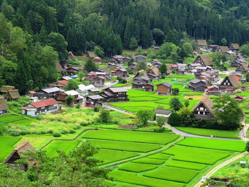 Day7-1遺世獨立的合掌村─白川鄉荻町