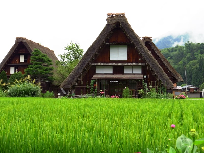 Day7-1遺世獨立的合掌村─白川鄉荻町