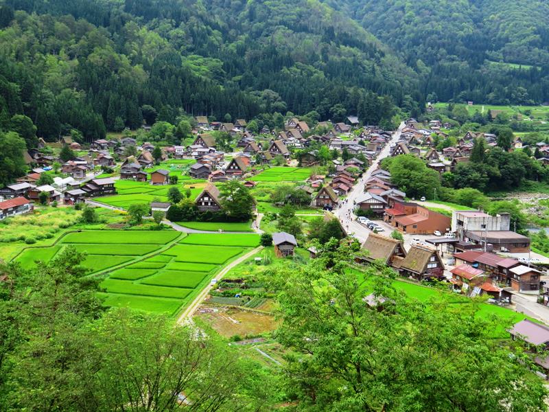 Day7-1遺世獨立的合掌村─白川鄉荻町