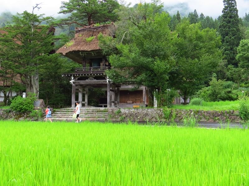Day7-1遺世獨立的合掌村─白川鄉荻町