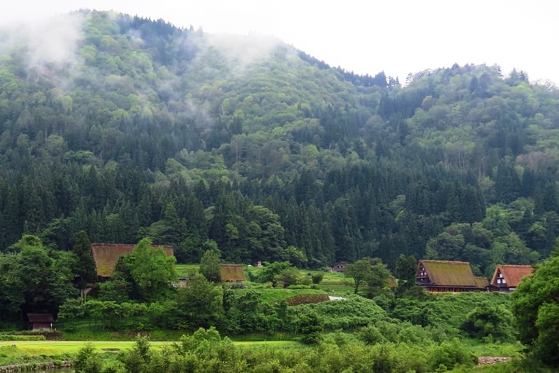 Day7-1遺世獨立的合掌村─白川鄉荻町