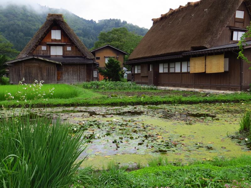 Day7-1遺世獨立的合掌村─白川鄉荻町