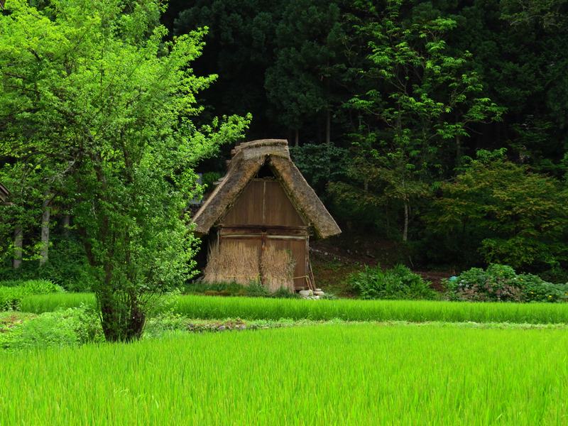 Day7-1遺世獨立的合掌村─白川鄉荻町