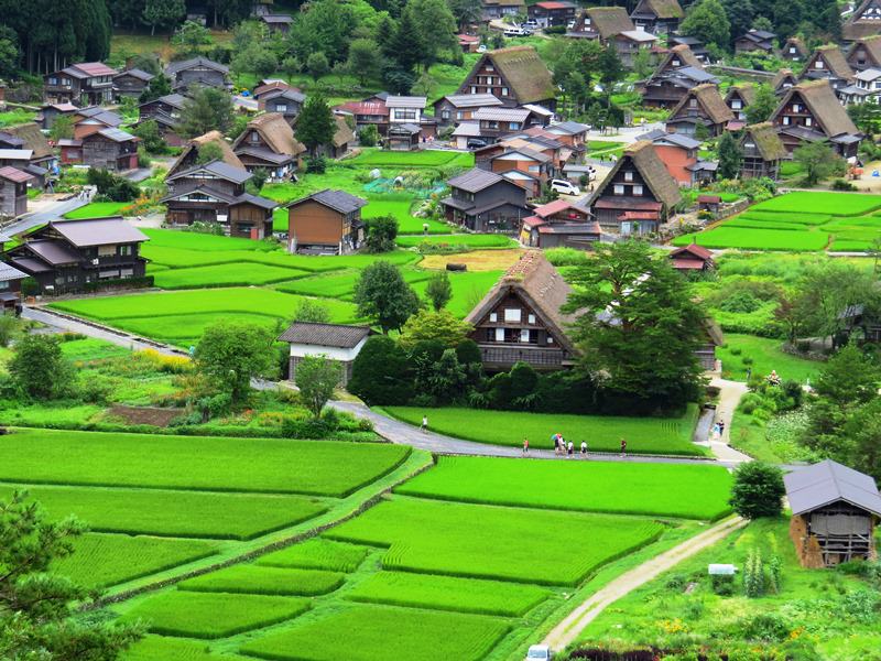 Day7-1遺世獨立的合掌村─白川鄉荻町