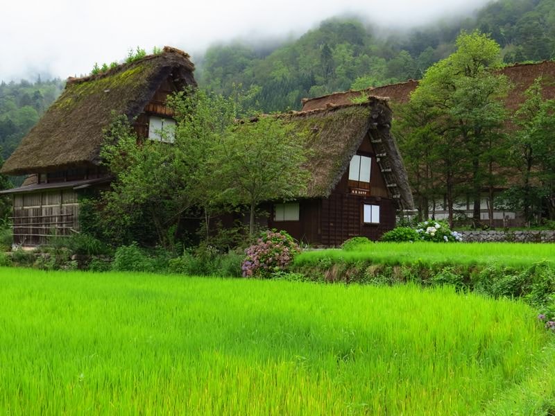 Day7-1遺世獨立的合掌村─白川鄉荻町