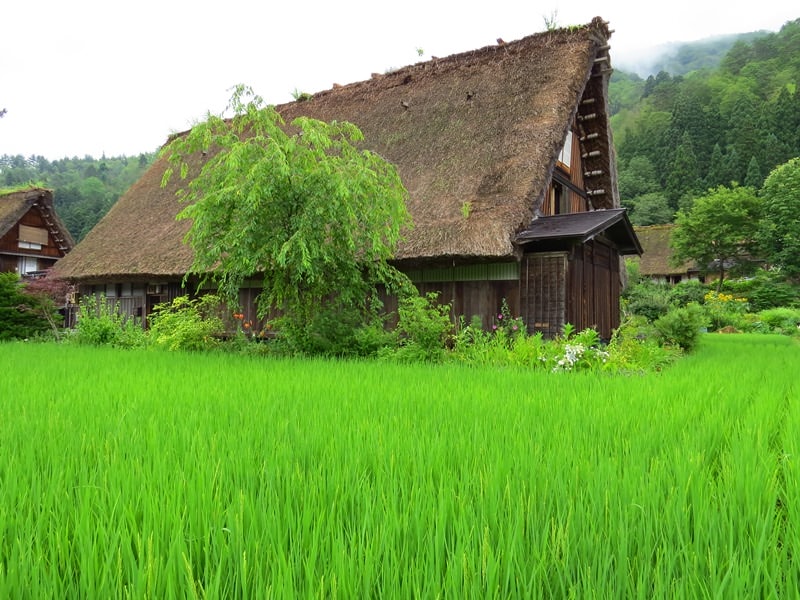 Day7-1遺世獨立的合掌村─白川鄉荻町