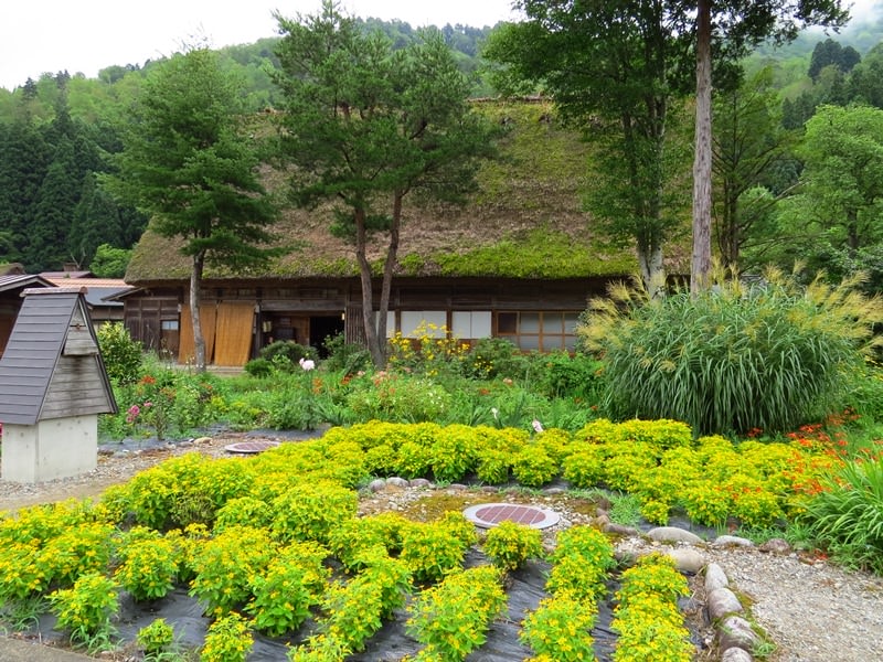 Day7-1遺世獨立的合掌村─白川鄉荻町
