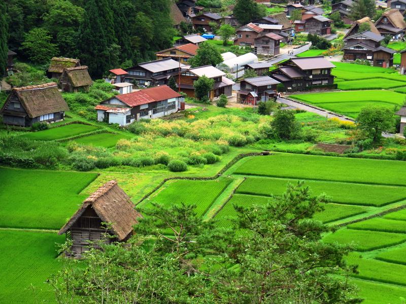 Day7-1遺世獨立的合掌村─白川鄉荻町