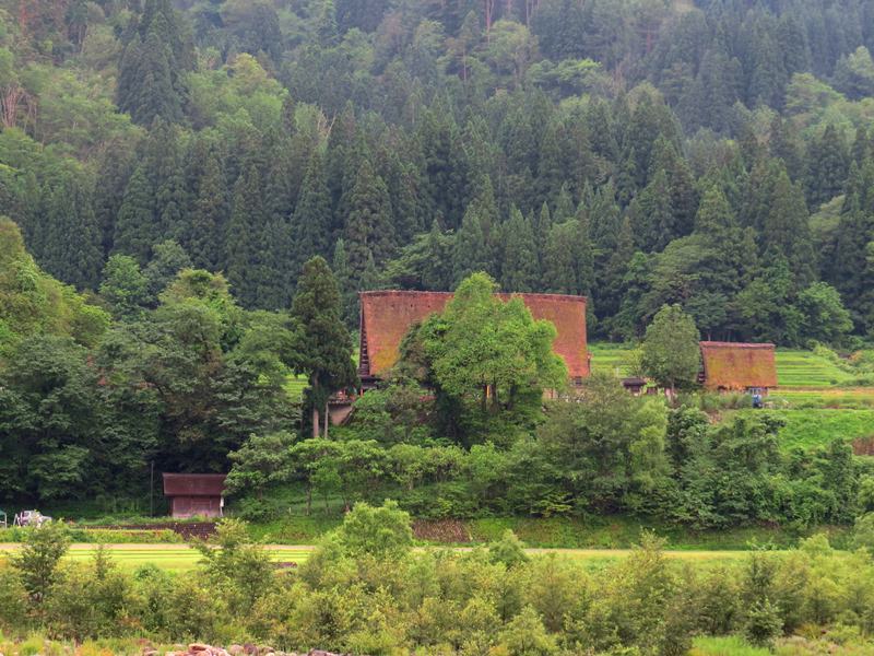 Day7-1遺世獨立的合掌村─白川鄉荻町