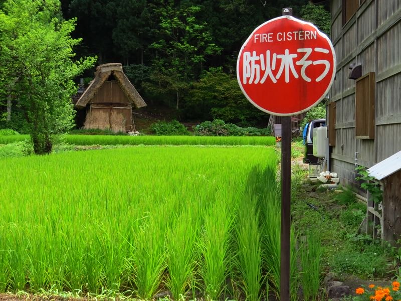 Day7-1遺世獨立的合掌村─白川鄉荻町